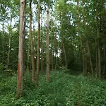 ホームステイ Podkrovi S Koupelnou *