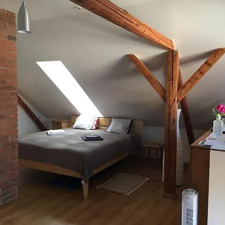 Podkrovi S Koupelnou Homestay *