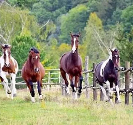Podkrovi S Koupelnou Privatunterkunft