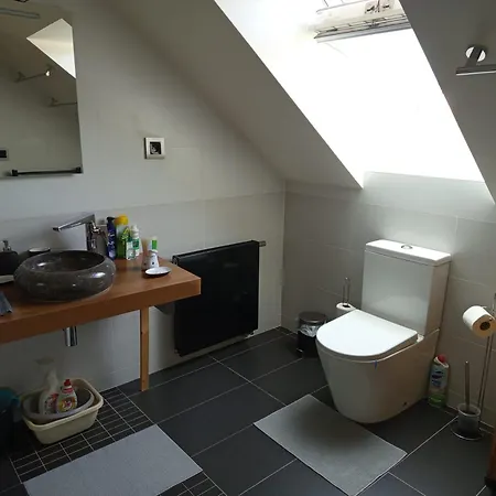 Privatunterkunft Podkrovi S Koupelnou