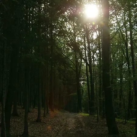 Podkrovi S Koupelnou Svinarov