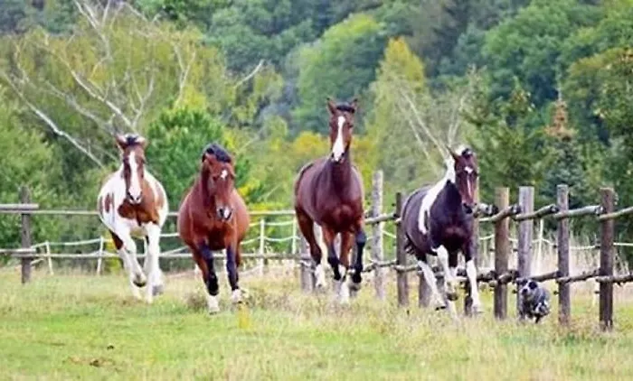 Podkrovi S Koupelnou Privat bolig