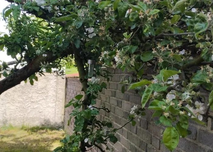 Podkrovi S Koupelnou