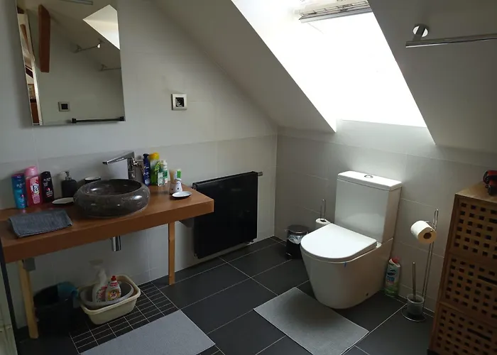 Privat bolig Podkrovi S Koupelnou