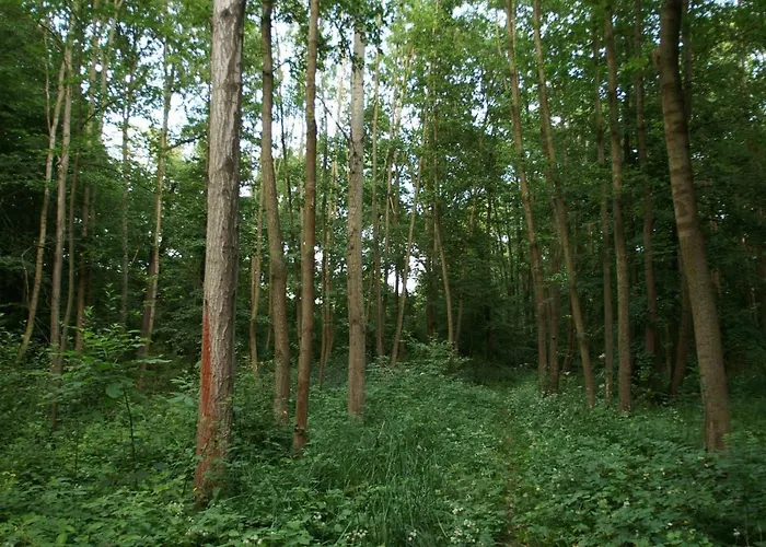 Δωμάτια σε οικογενειακή κατοικία Podkrovi S Koupelnou *