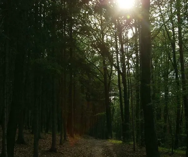 Podkrovi S Koupelnou Svinarov