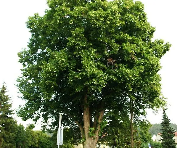 Kwatera prywatna Podkrovi S Koupelnou *